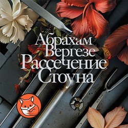 Рассечение Стоуна